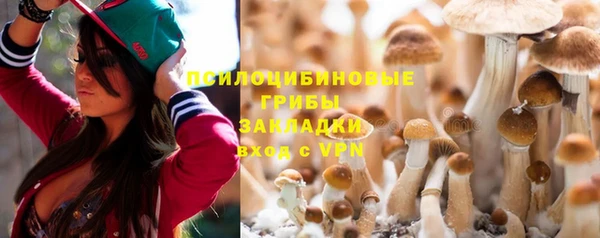 Альфа ПВП Алексин
