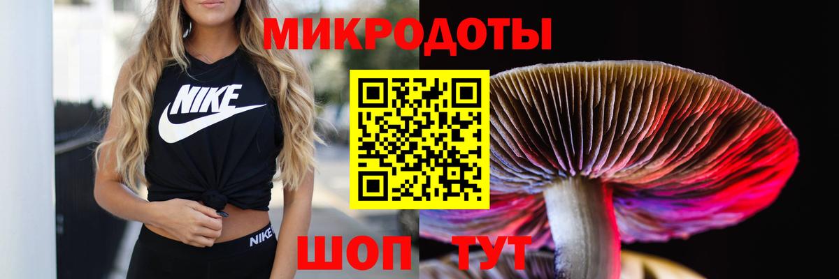 Ухта  Псилоцибиновые грибы Cubensis  Вход с VPN 